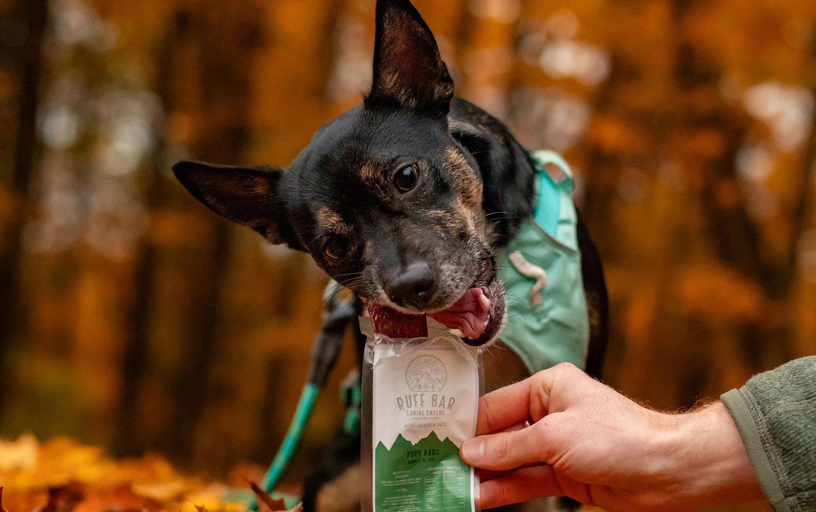 Pork Ruff Bar Real Meat Power Bar for Healthy Dogs